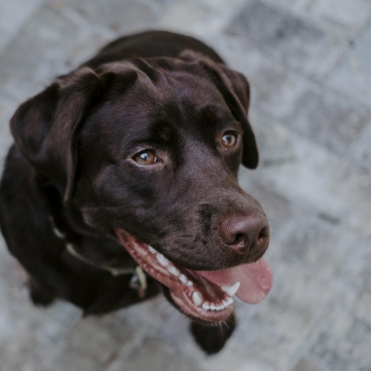 Landscape day trip near London, United Kingdom